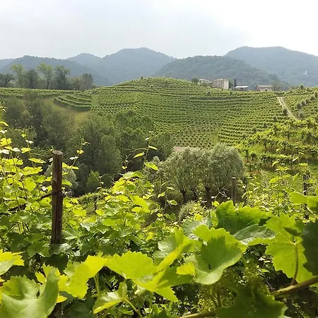 Ξενοδοχείο Wine San Giacomo Activity & Wellness